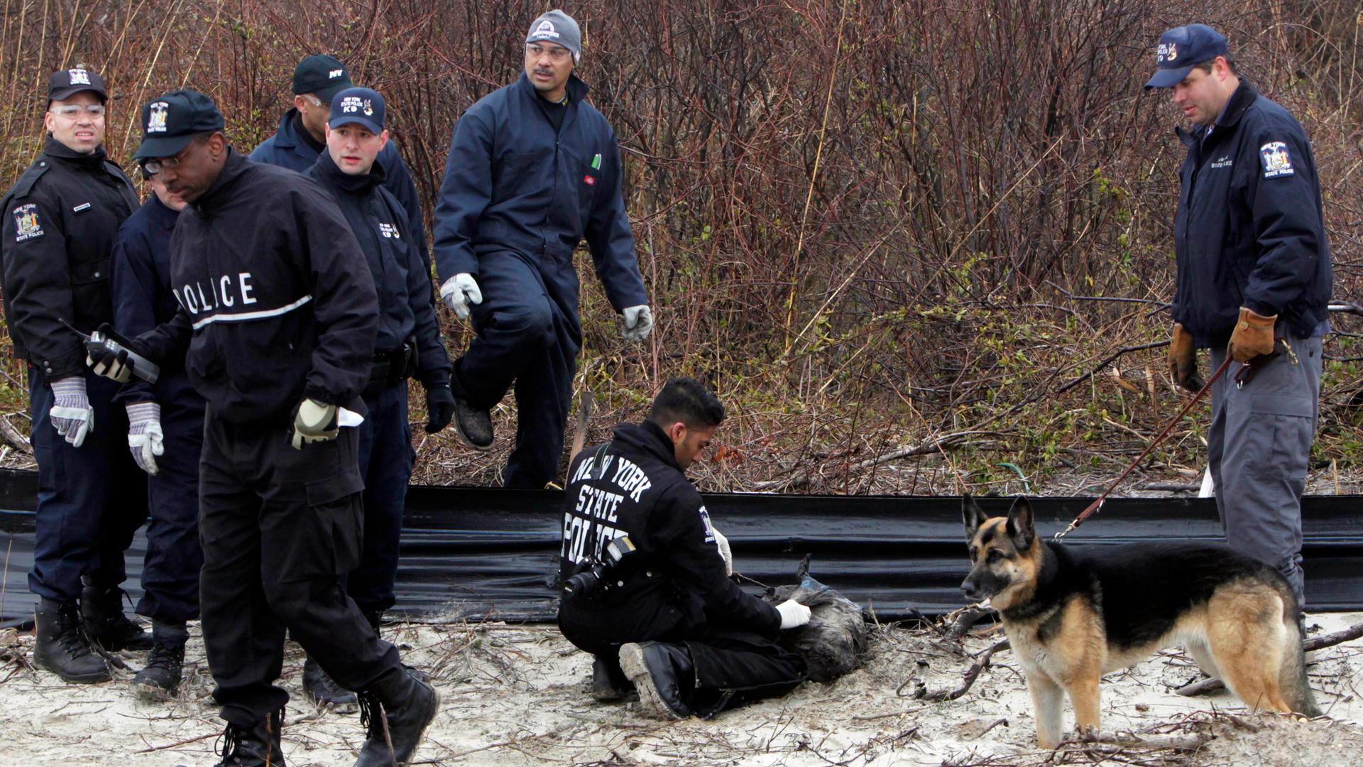 Acht Polizisten in schwarzen Uniformen und ein Polizeihund stehen am Ende des Strandes beim Übergang ins Unterholz. Ein Polizist kniet im Sand und untersucht etwas. Acht Polizisten in schwarzen Uniformen und ein Polizeihund stehen am Ende des Strandes beim Übergang ins Unterholz. Ein Polizist kniet im Sand und untersucht etwas.