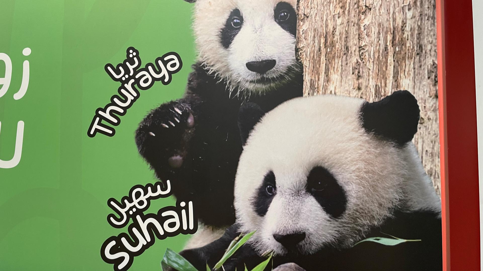 Werbung mit Pandas in einer Metrostation in Doha während der Fußball-WM 2022