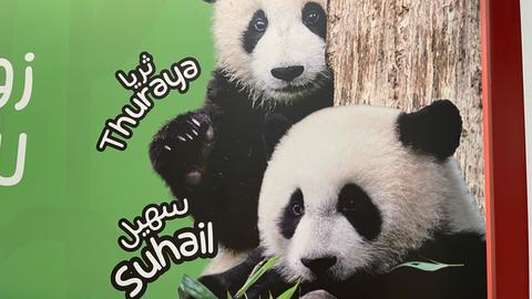 Werbung mit Pandas in einer Metrostation in Doha während der Fußball-WM 2022
