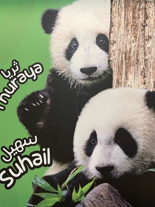 Werbung mit Pandas in einer Metrostation in Doha während der Fußball-WM 2022