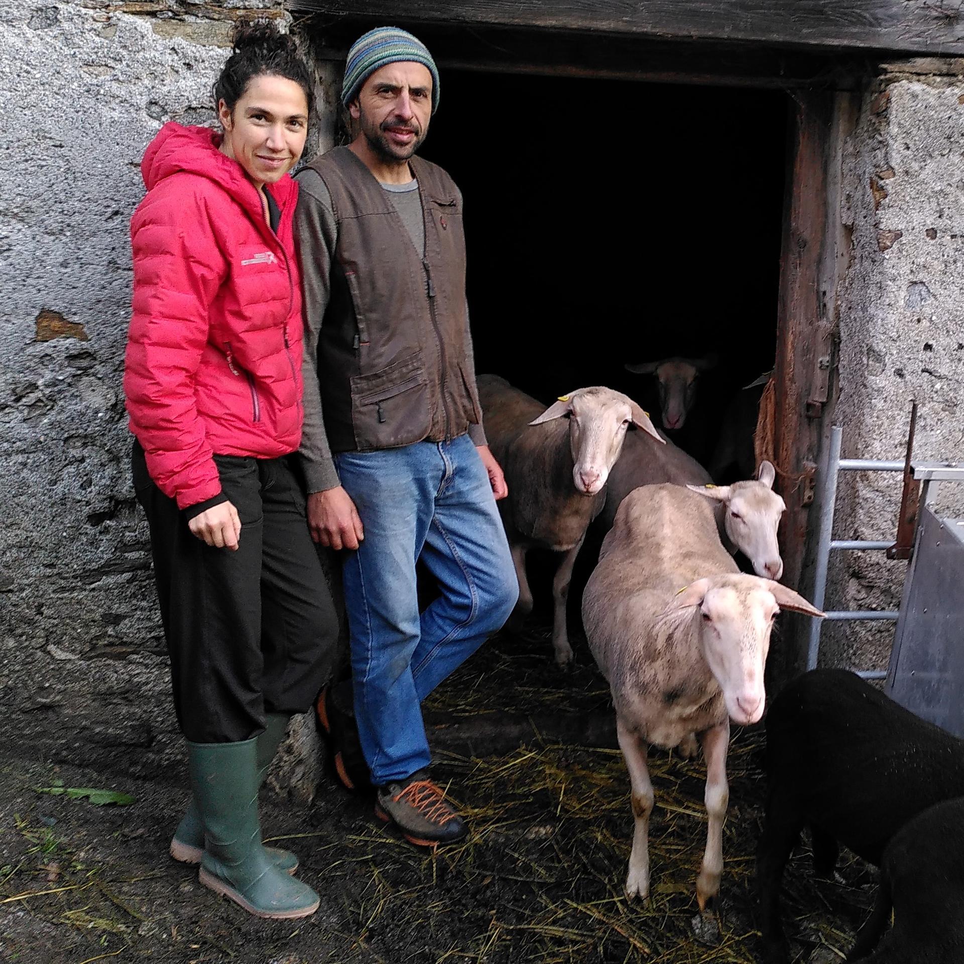 Von Braunvieh, Ziegenmist und Bergkartoffeln - Bäuerliches Leben in den Alpen
