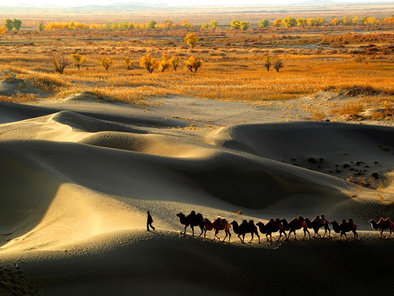 Eine Kamelkarawane im Wüstensand, im Hintergrund Steppenlandschaft.