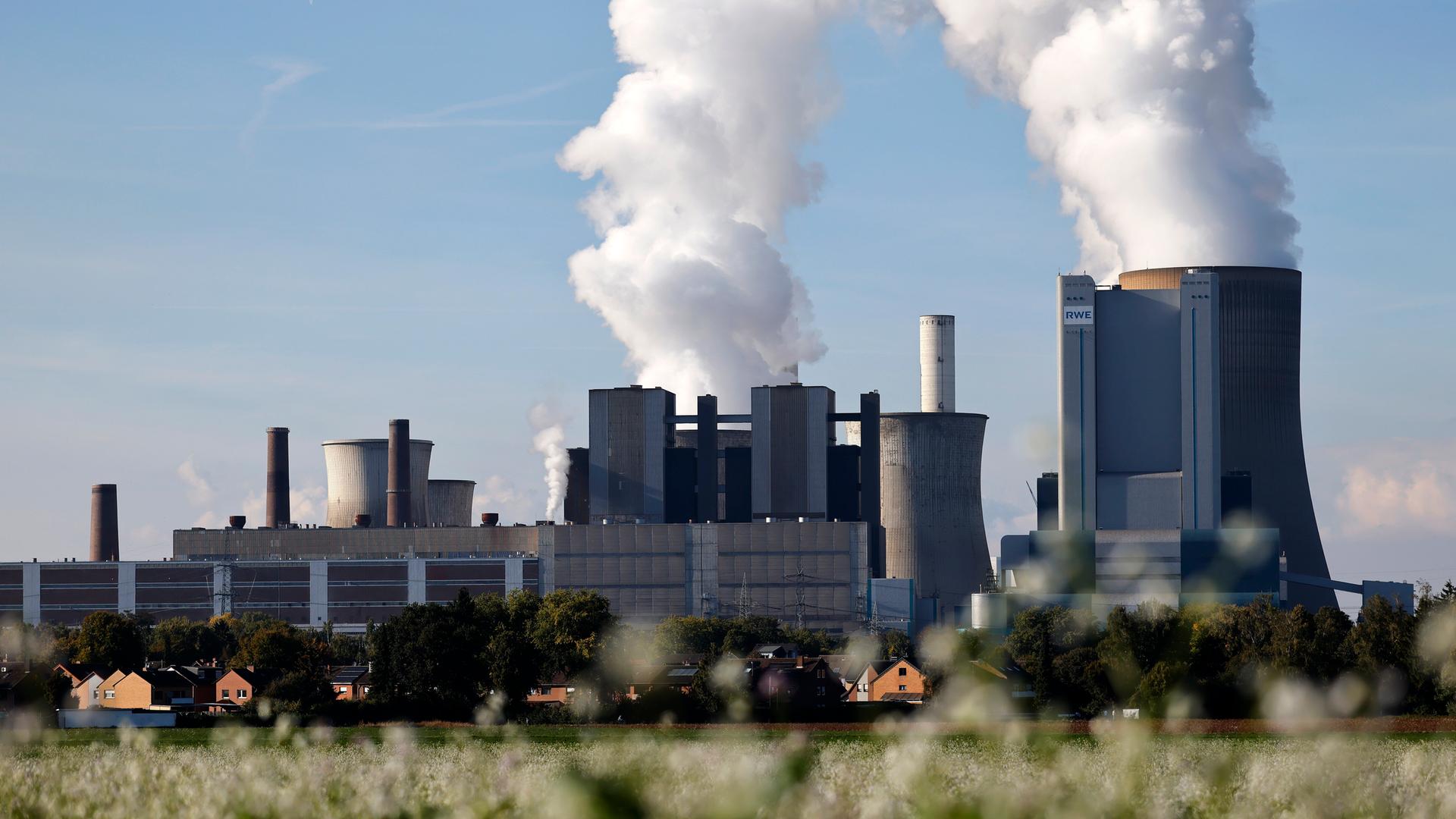 Dampfschwaden steigen aus den Schloten eines Kohlekraftwerks in den blauen Himmel