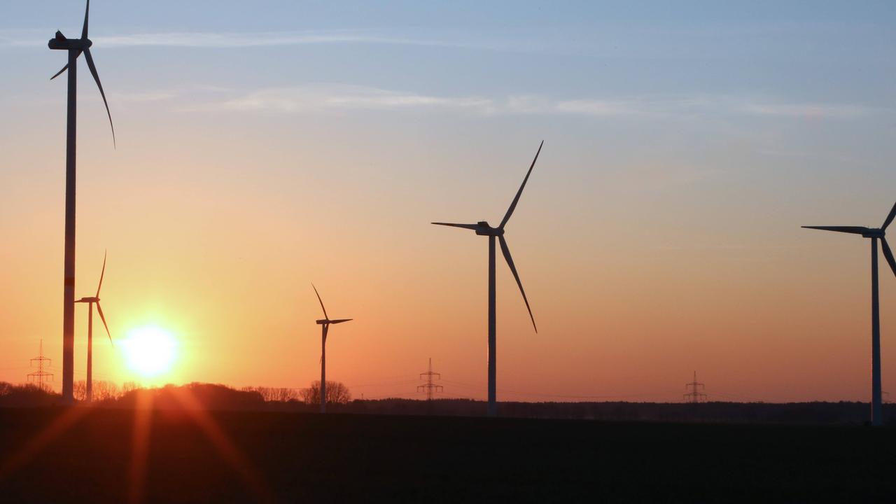 Sonniger Blick auf einen Windpark.