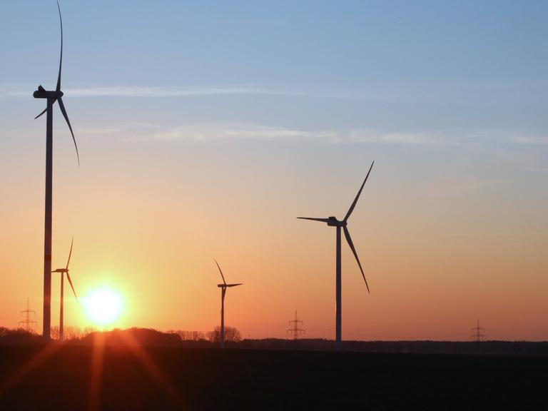 Sonniger Blick auf einen Windpark.