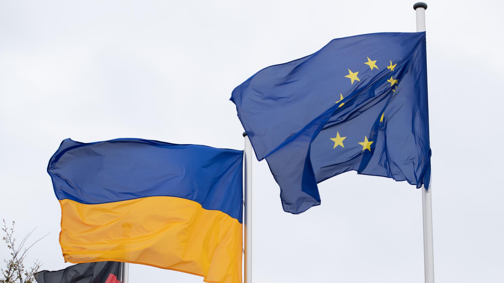 Die Flaggen von Deutschland (l-r), der Ukraine und der Europäischen Union wehen vor einem Verwaltungsgebäude.