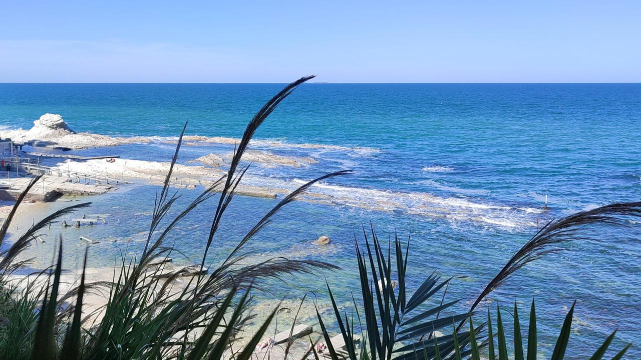 Urlaubs-Strand mit Palmen am blauen Wasser vor dem offenen Meer an der Küste von Ancona in Italien bei Sonnenschein und sommerlichen Temperaturen.