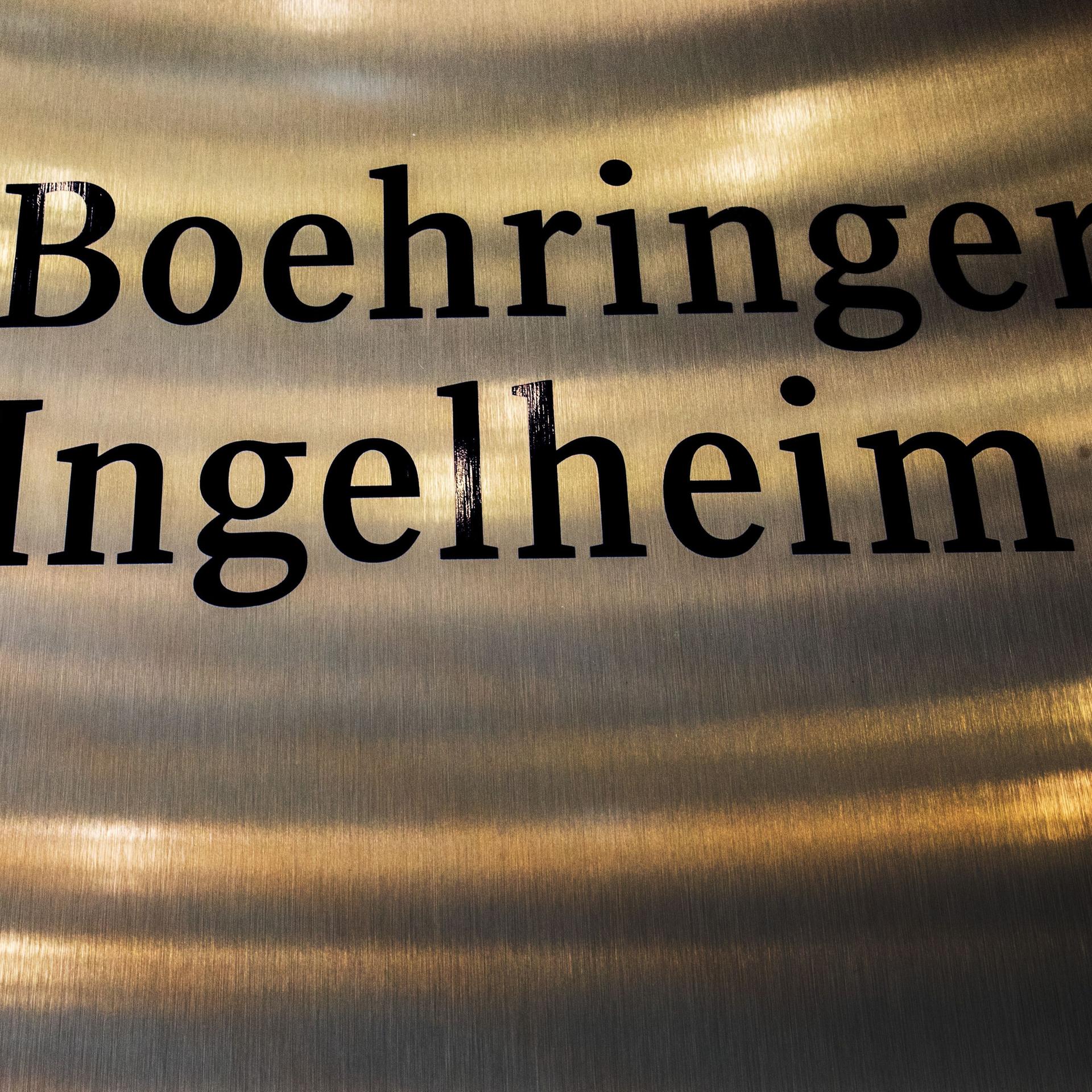 Rheinland-Pfalz - Pharmakonzerne Eli Lilly und Boehringer streichen Investitionen wegen Sparplänen der Bundesregierung im Gesundheitswesen