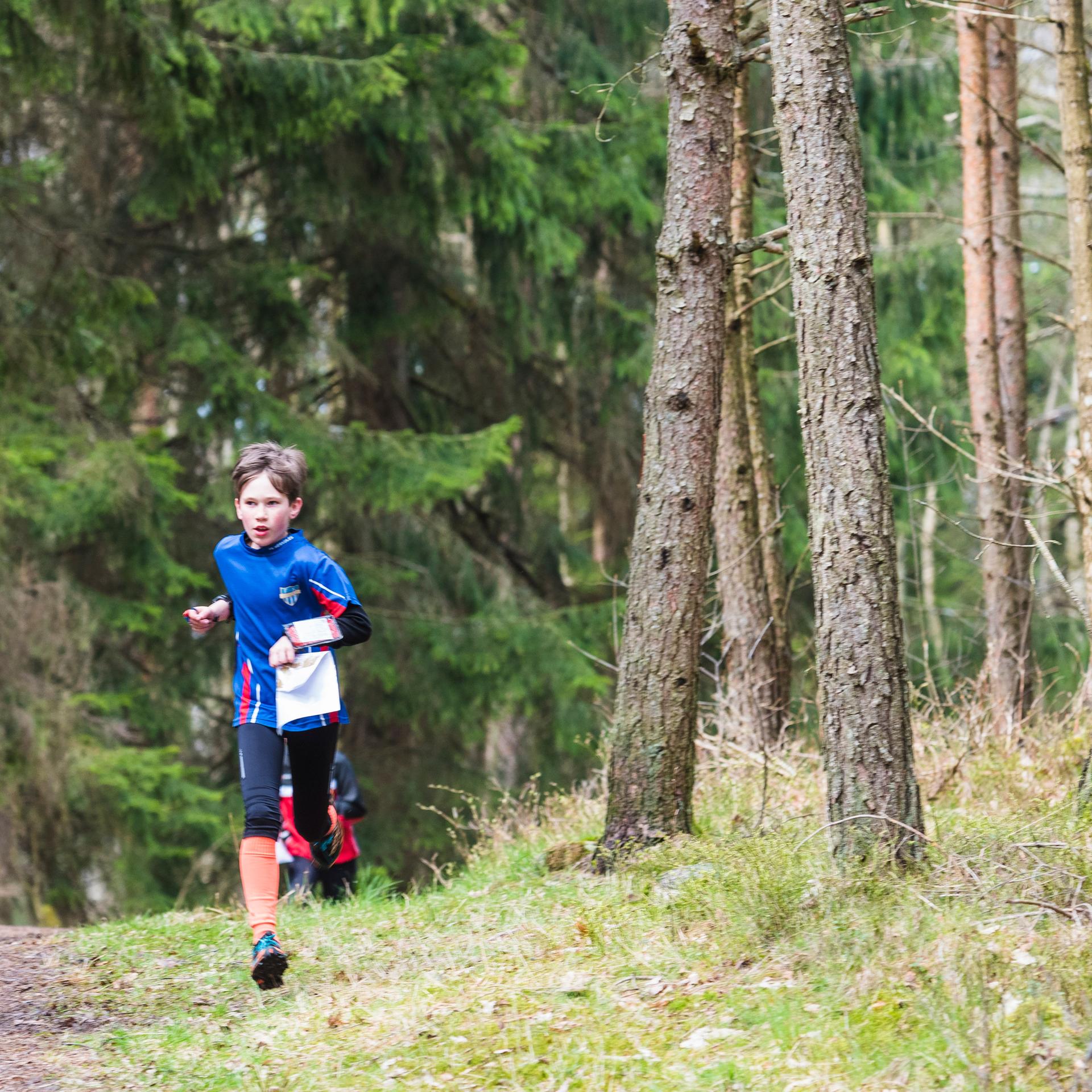 Kakadu - bei euch - Olli macht Orientierungslauf