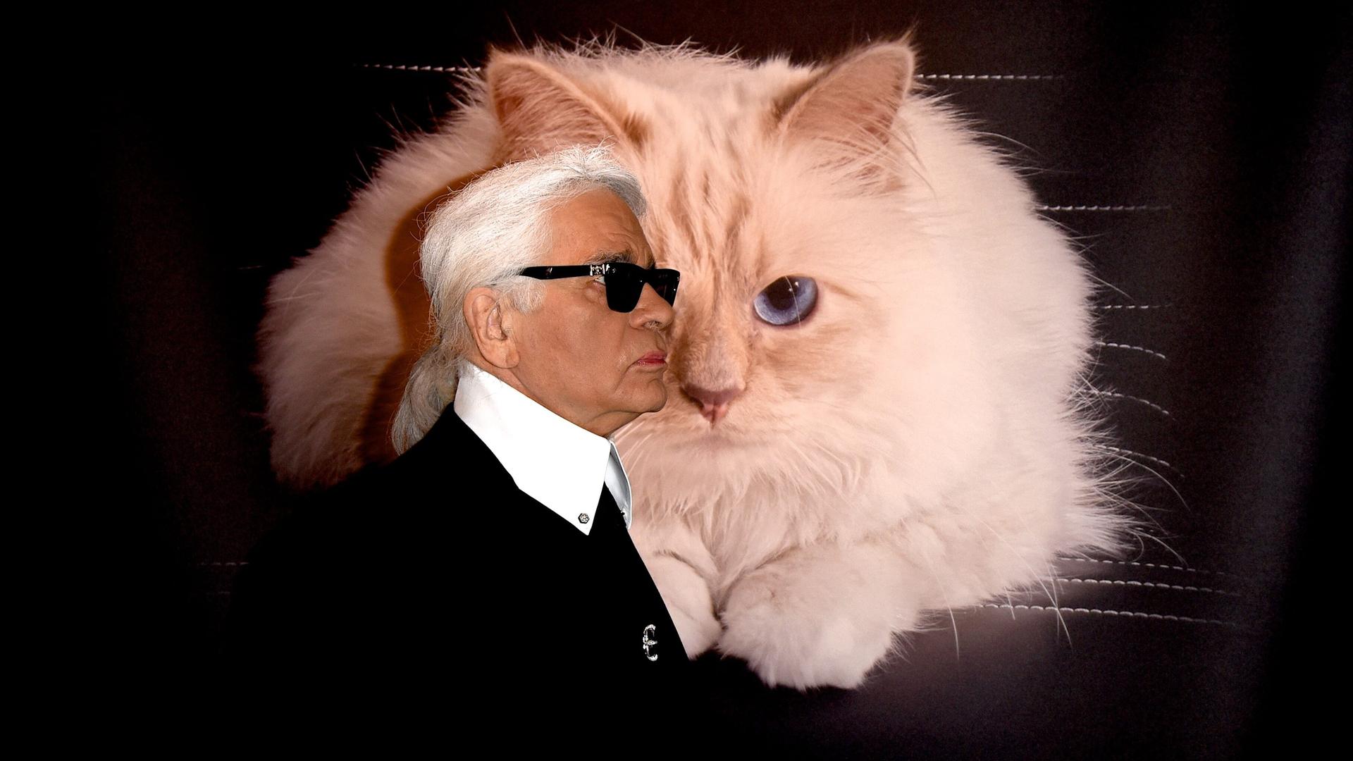 Karl Lagerfeld mit Sonnenbrille und Pferdeschwanz steht bei einer Vernissage vor einem großen Bild seiner Katze Choupette Karl Lagerfeld mit Sonnenbrille und Pferdeschwanz steht bei einer Vernissage vor einem großen Bild seiner Katze Choupette