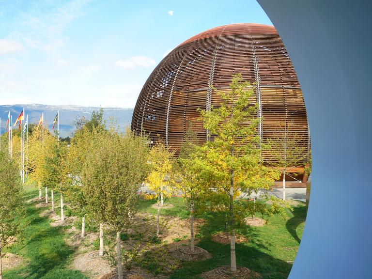 Kugelfärmiges Gebäude aus gebogenen Holzstreben, im Vordergrund sind Berge, im Hintergrund Bäume zu sehen.