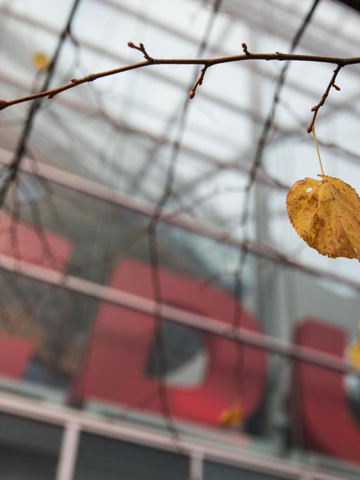 Ein einzelnes Blatt hängt an einem Zweig vor der CDU-Parteizentrale in Berlin.