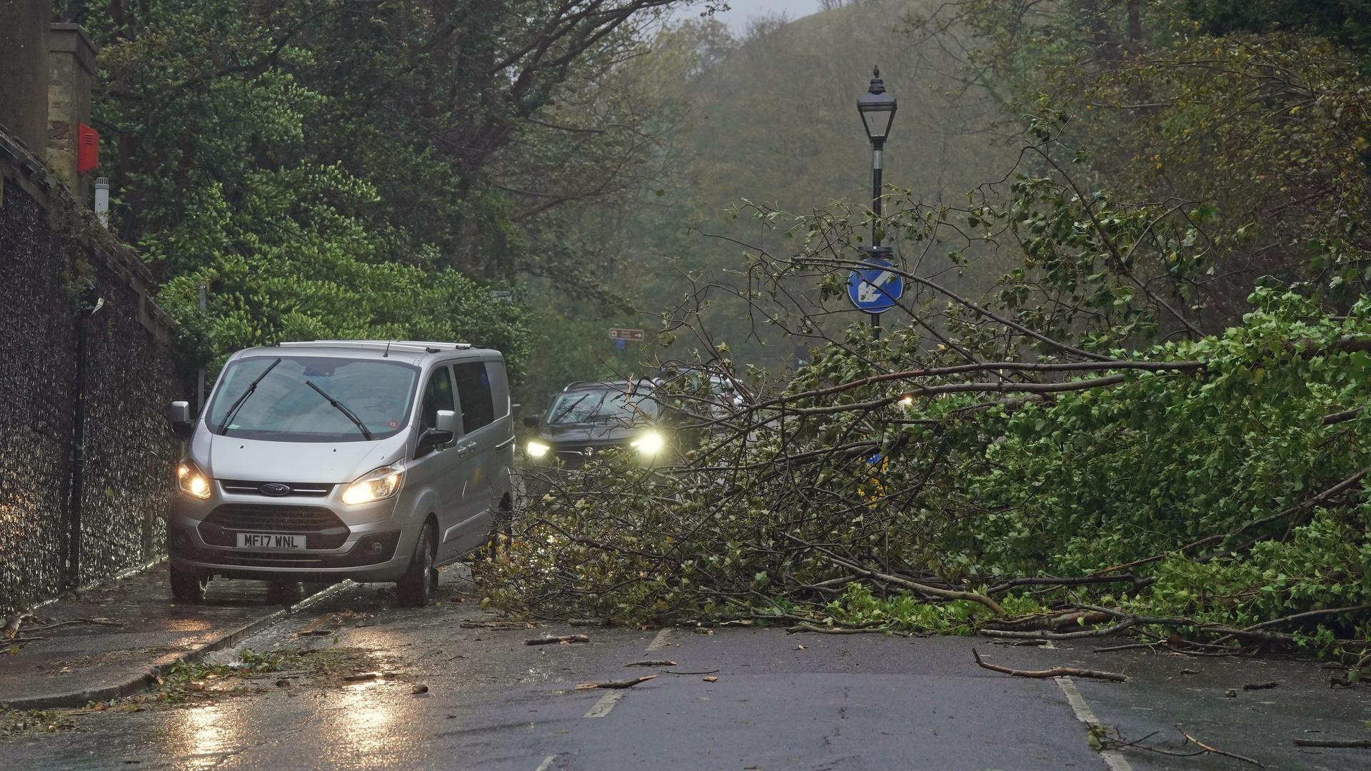 Autos fahren in Großbritannien an einem umgestürzten Baum vorbei.