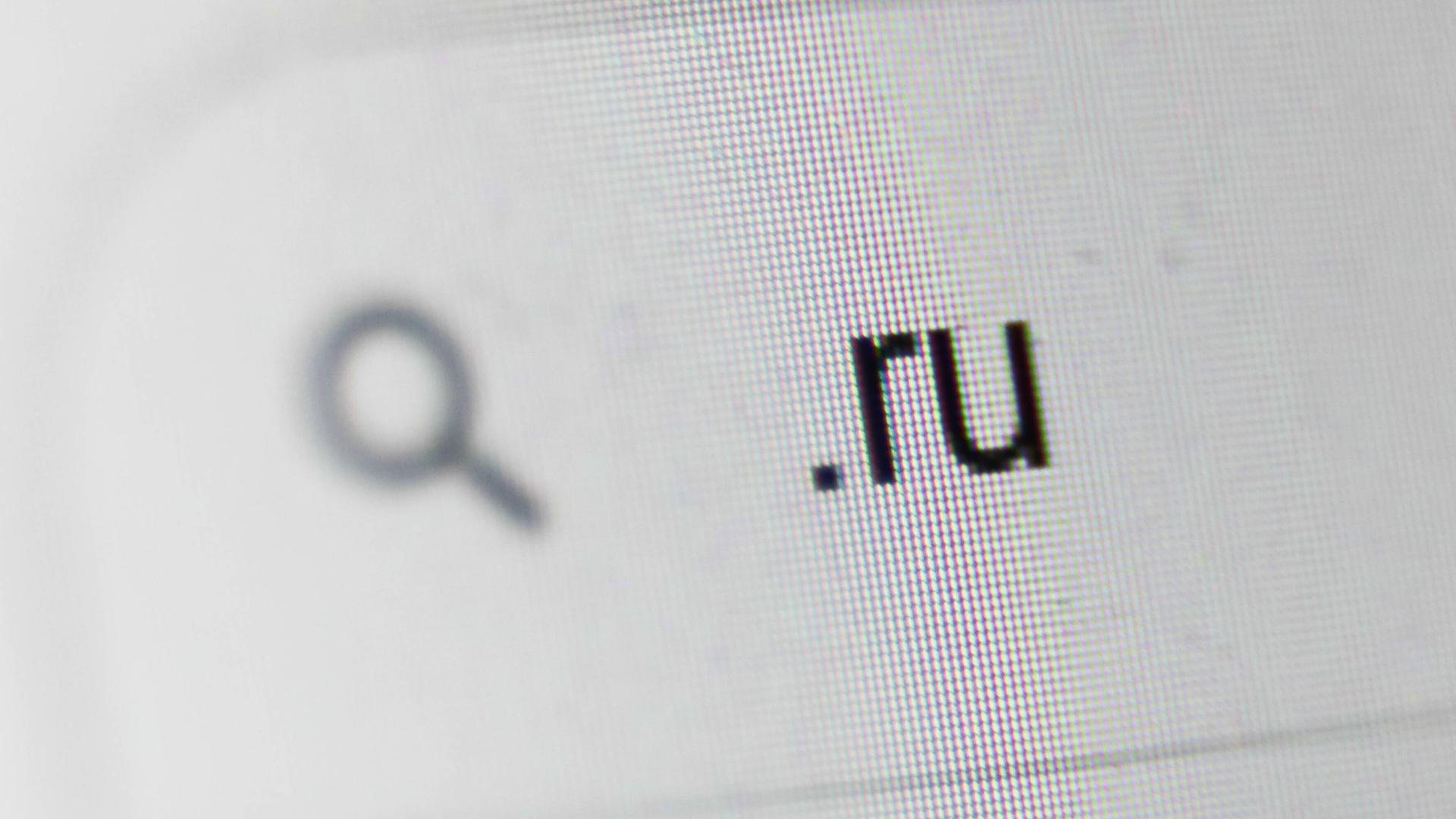 Bildschirmdarstellung einer Google-Suche nach Seiten mit .ru-Endung.