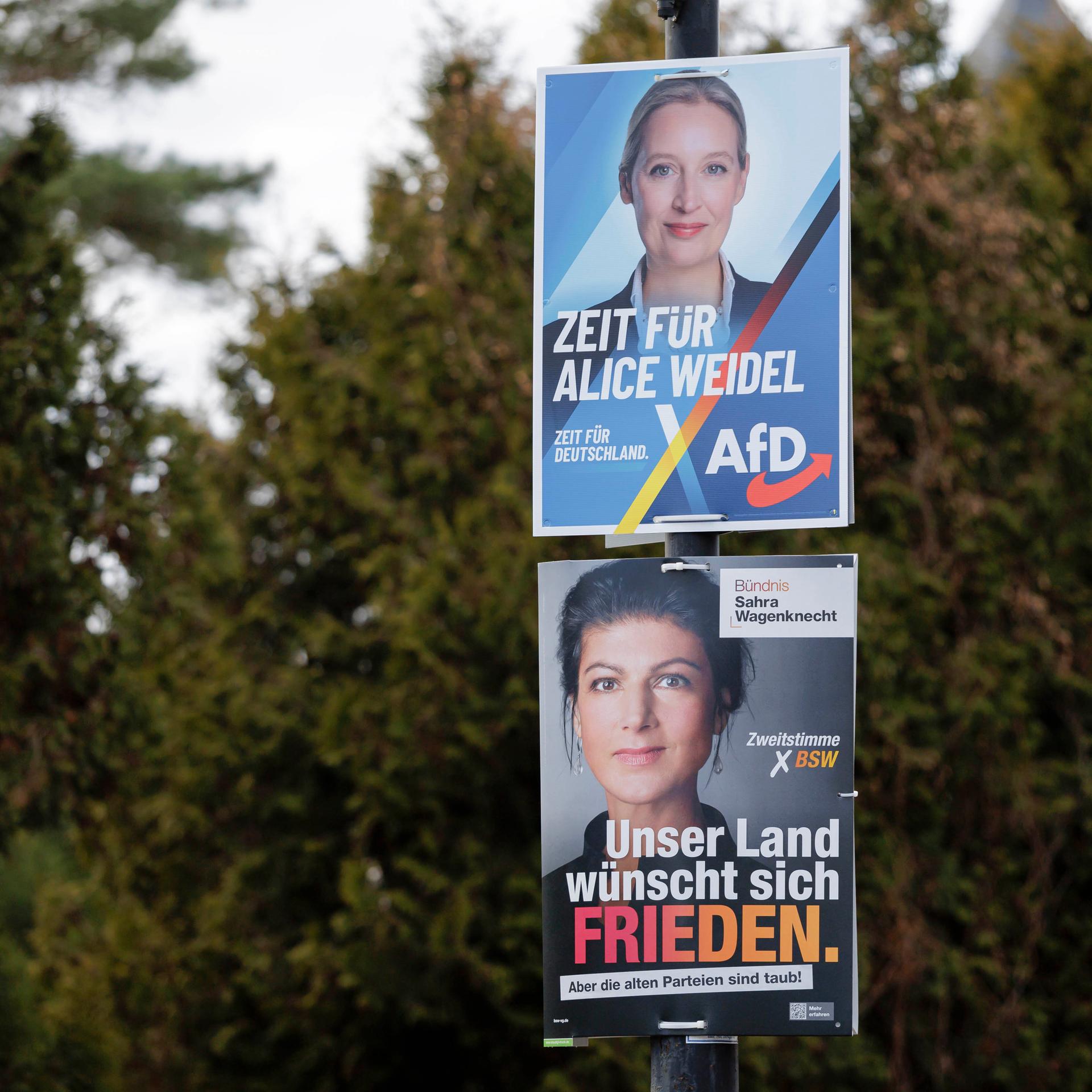 Wahlplakate zur Bundestagswahl von AFD und BSW mit den Spitzenkandidatinnen Alice Weidel und Sahra Wagenknecht hängen an einem Lichtmast.