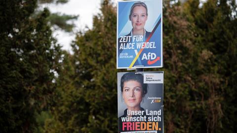 Wahlplakate zur Bundestagswahl von AFD und BSW mit den Spitzenkandidatinnen Alice Weidel und Sahra Wagenknecht hängen an einem Lichtmast.