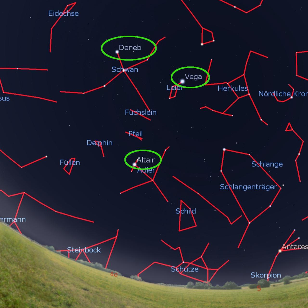 Kurze Nächte mit Venus - Der Sternenhimmel im Juli