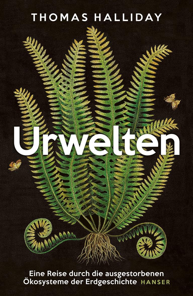 Das Cover zeigt die Illustration einer grünen urzeitlichen Pflanze auf schwarzem Grund. 