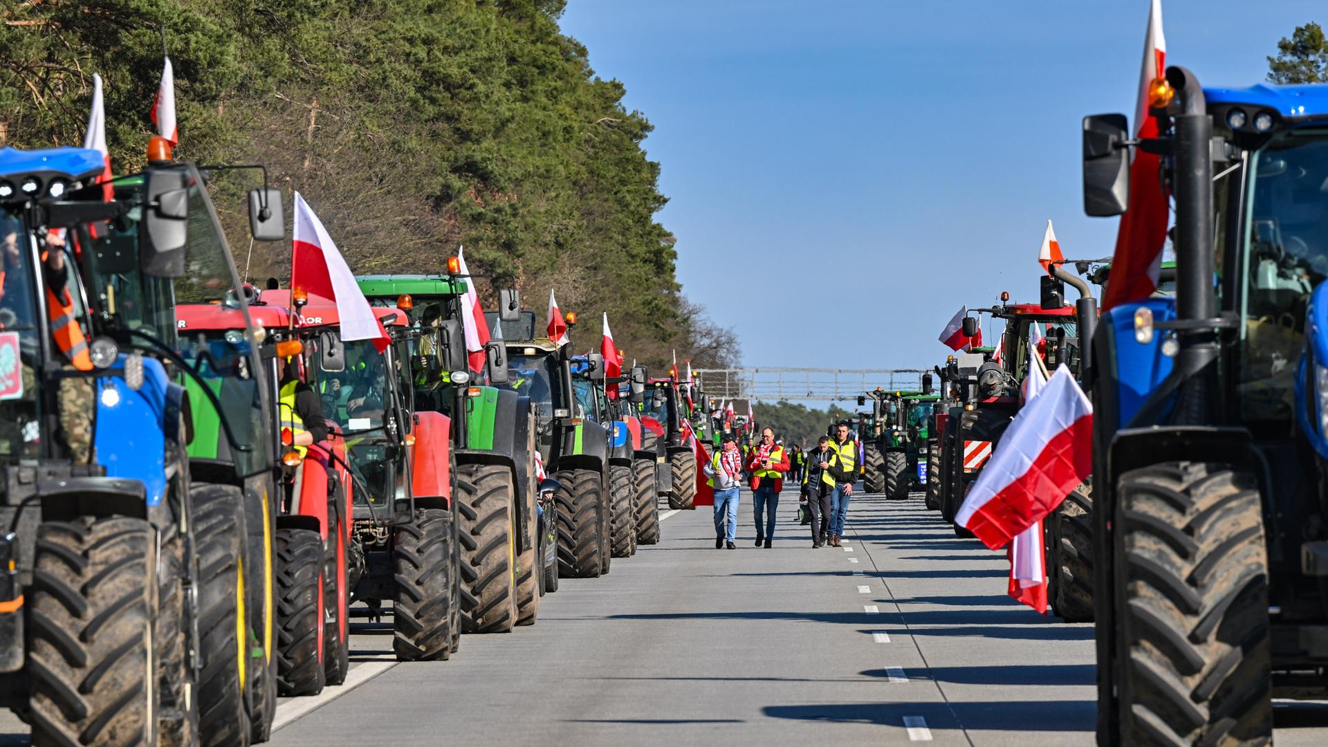 Protest von Landwirten - Polnische Bauern blockieren Autobahn an der Grenze zu Deutschland