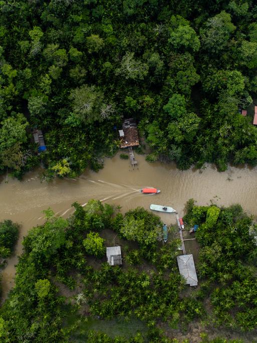 Blick auf den Fluss Guama und die Insel Combu im Amazonas-Regenwald. Menschen leben an den Ufern des Guamas in Holzhütten.