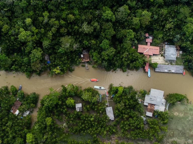 Blick auf den Fluss Guama und die Insel Combu im Amazonas-Regenwald. Menschen leben an den Ufern des Guamas in Holzhütten.