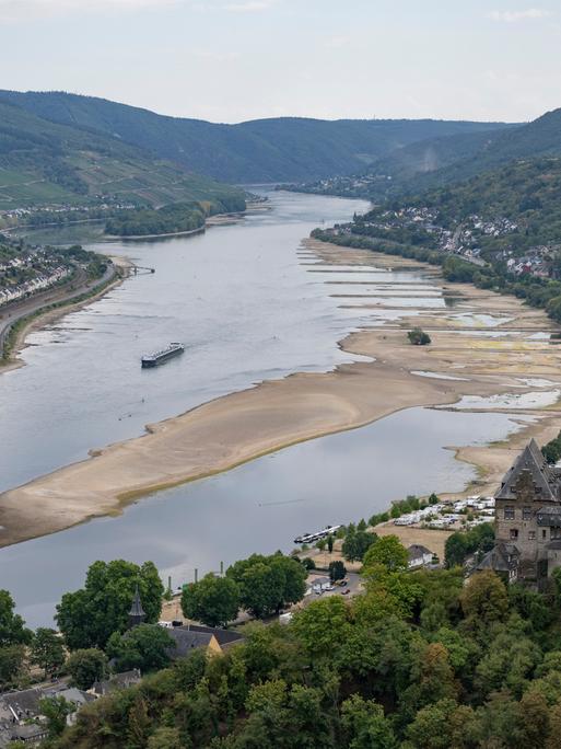 Ein Binnenschiff fährt bei Niedrigwasser an freiliegenden Felsen und Sandbänken auf dem Rhein. Die Pegelstände des Rheins haben nach wochenlanger Trockenheit teils historische Tiefststände erreicht. Sinken die Pegel weiter, droht die Schifffahrt zum Erliegen zu kommen.