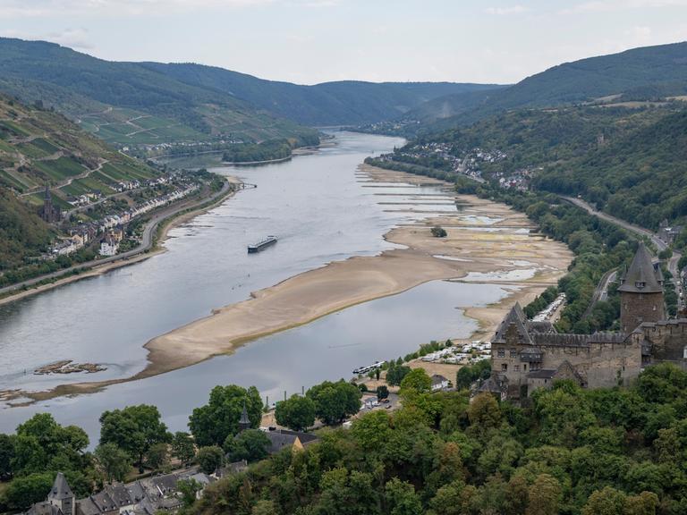 Ein Binnenschiff fährt bei Niedrigwasser an freiliegenden Felsen und Sandbänken auf dem Rhein. Die Pegelstände des Rheins haben nach wochenlanger Trockenheit teils historische Tiefststände erreicht. Sinken die Pegel weiter, droht die Schifffahrt zum Erliegen zu kommen.