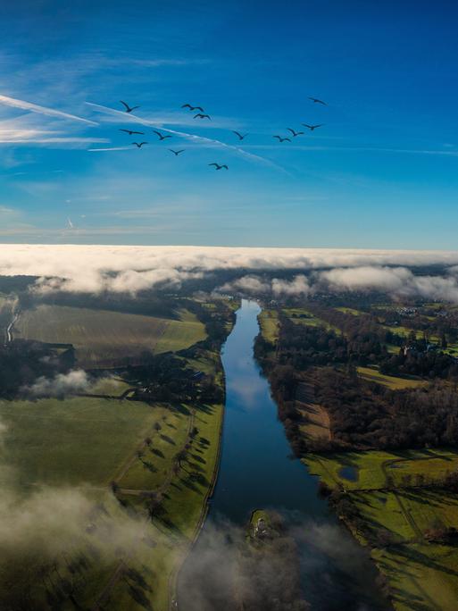 Ein Luftbild der Stadt Henley-on-Thames umgeben von grünen Feldern und Wasser.