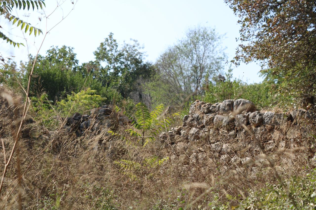 Ruine im ehemaligen Kafr Bir.