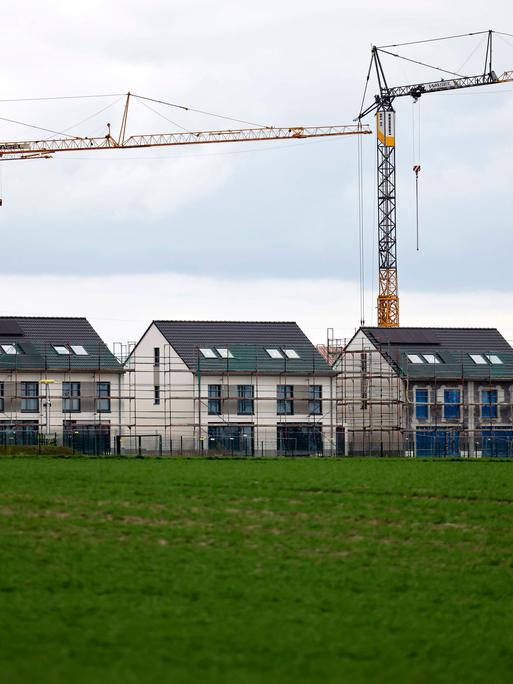Im Vordergrund des Bildes ist eine Getreidfeld, dahinter erheben sich neu gebaute Doppelhaushälften und Einfamilienhäuser einer Neubausiedlung in Glessen bei Köln. Baukräne stehen im Hintergrund. Die Häuser sind teilweise noch eingerüstet. 