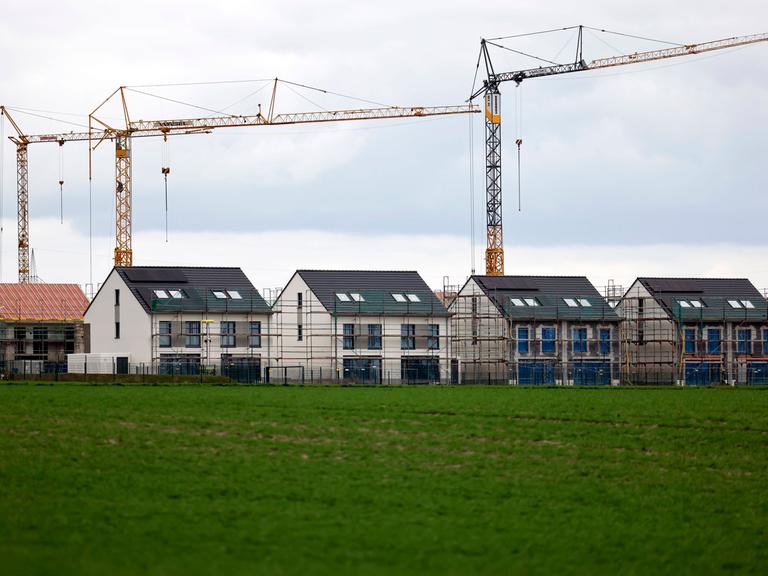 Im Vordergrund des Bildes ist eine Getreidfeld, dahinter erheben sich neu gebaute Doppelhaushälften und Einfamilienhäuser einer Neubausiedlung in Glessen bei Köln. Baukräne stehen im Hintergrund. Die Häuser sind teilweise noch eingerüstet. 