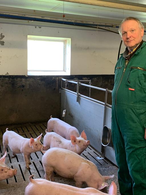 Landwirt Heinrich Dierkes ist Vorsitzender der Interessengemeinschaft der Schweinehalter