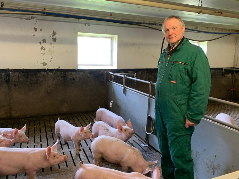 Landwirt Heinrich Dierkes ist Vorsitzender der Interessengemeinschaft der Schweinehalter