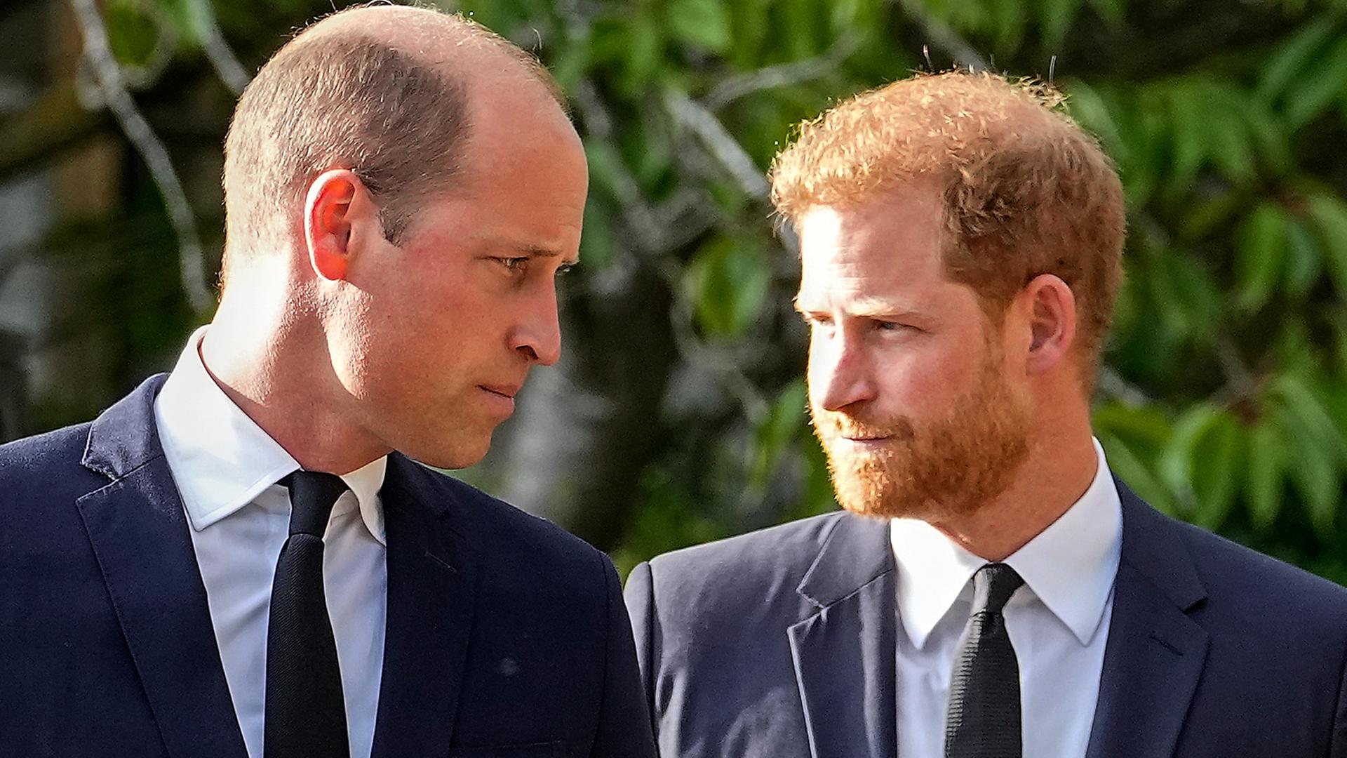 Prinz William (l) und sein Bruder Prinz Harry gehen nebeneinander. Prinz William (l) und sein Bruder Prinz Harry gehen nebeneinander.