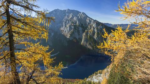 Blick vom Feuerpalfen über den Watzmann und den Königssee im Herbst im Nationalpark Berchtesgaden.