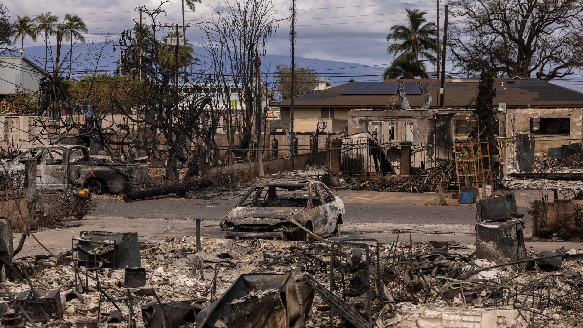 Lahaina auf Maui: Verbrannte Häuser und Fahrzeuge in einer Straße
