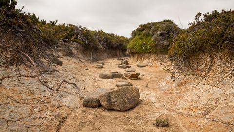 Blick in ein ausgetrocknetes Flussbett, in dem Steine liegen geblieben sind.