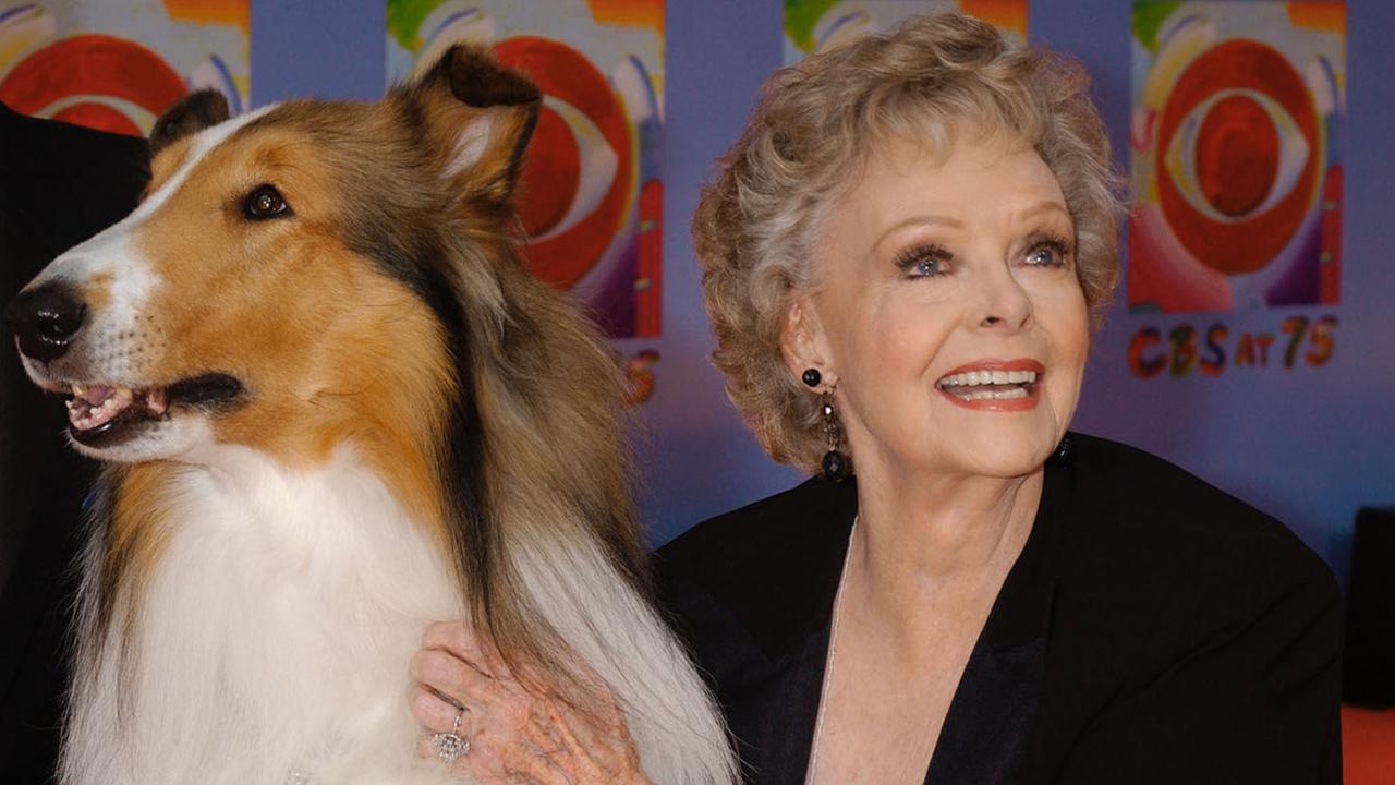 June Lockhart, die die Rolle der Ruth Martin, Mutter von Timmy Martin, in der klassischen Serie "Lassie" spielte, posiert für ein Foto mit Lassie, 9. Generation, während einer Veranstaltung des Senders CBS.  June Lockhart, die die Rolle der Ruth Martin, Mutter von Timmy Martin, in der klassischen Serie "Lassie" spielte, posiert für ein Foto mit Lassie, 9. Generation, während einer Veranstaltung des Senders CBS.