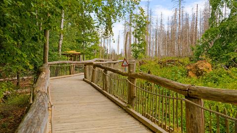 Ein Weg im Natur-Erlebnispark in der Eifel mit Geländer, ein Tau hängt daran