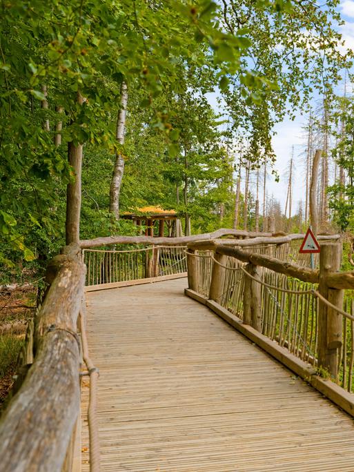 Ein Weg im Natur-Erlebnispark in der Eifel mit Geländer, ein Tau hängt daran