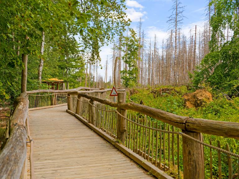 Ein Weg im Natur-Erlebnispark in der Eifel mit Geländer, ein Tau hängt daran