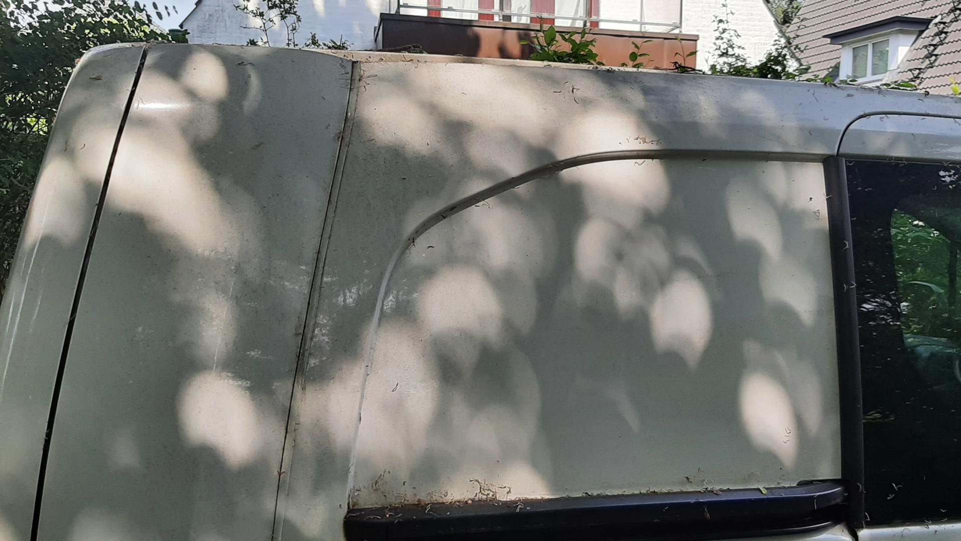 Unter dem Blätterdach eines Baumes sind viele sogenannte Sonnentaler zu sehen - ein Abbild der Sonne, das nach dem Prinzip einer Lochkamera erzeugt wurde. Unter dem Blätterdach eines Baumes sind viele sogenannte Sonnentaler zu sehen - ein Abbild der Sonne, das nach dem Prinzip einer Lochkamera erzeugt wurde.