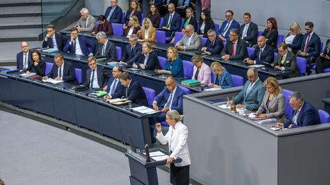 Alice Weidel (AfD) im Deutschen Bundestag