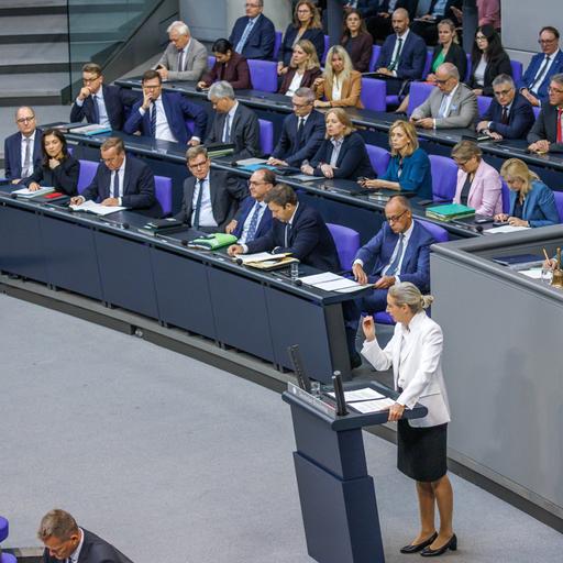Alice Weidel (AfD) im Deutschen Bundestag