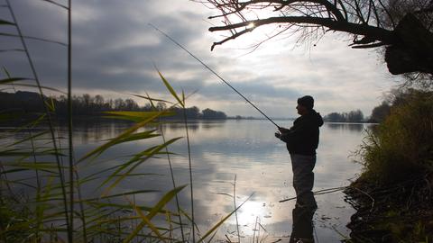 Ein Angler steht an dem deutsch-polnischen Grenzfluss Oder im Nationalpark Unteres Odertal im Nordosten von Brandenburg 