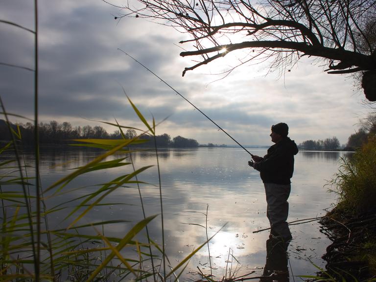 Ein Angler steht an dem deutsch-polnischen Grenzfluss Oder im Nationalpark Unteres Odertal im Nordosten von Brandenburg 