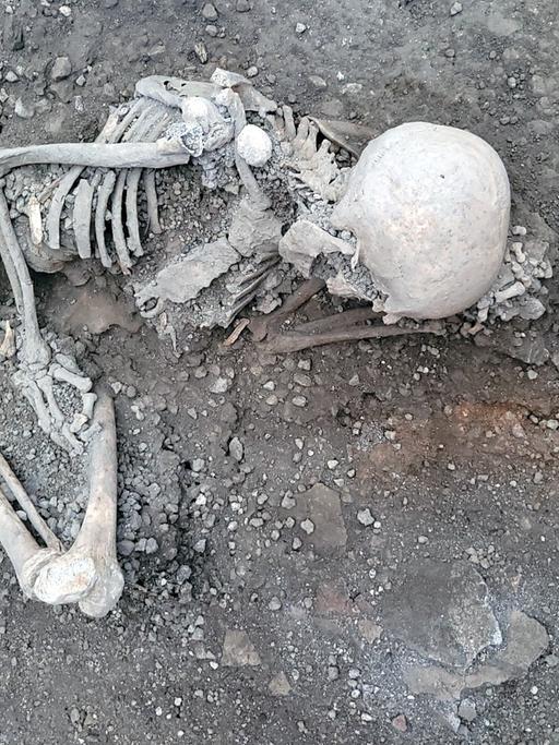 Eines der beiden Skelette, die in Pompeji gefunden wurden. Es liegt gekrümmt.