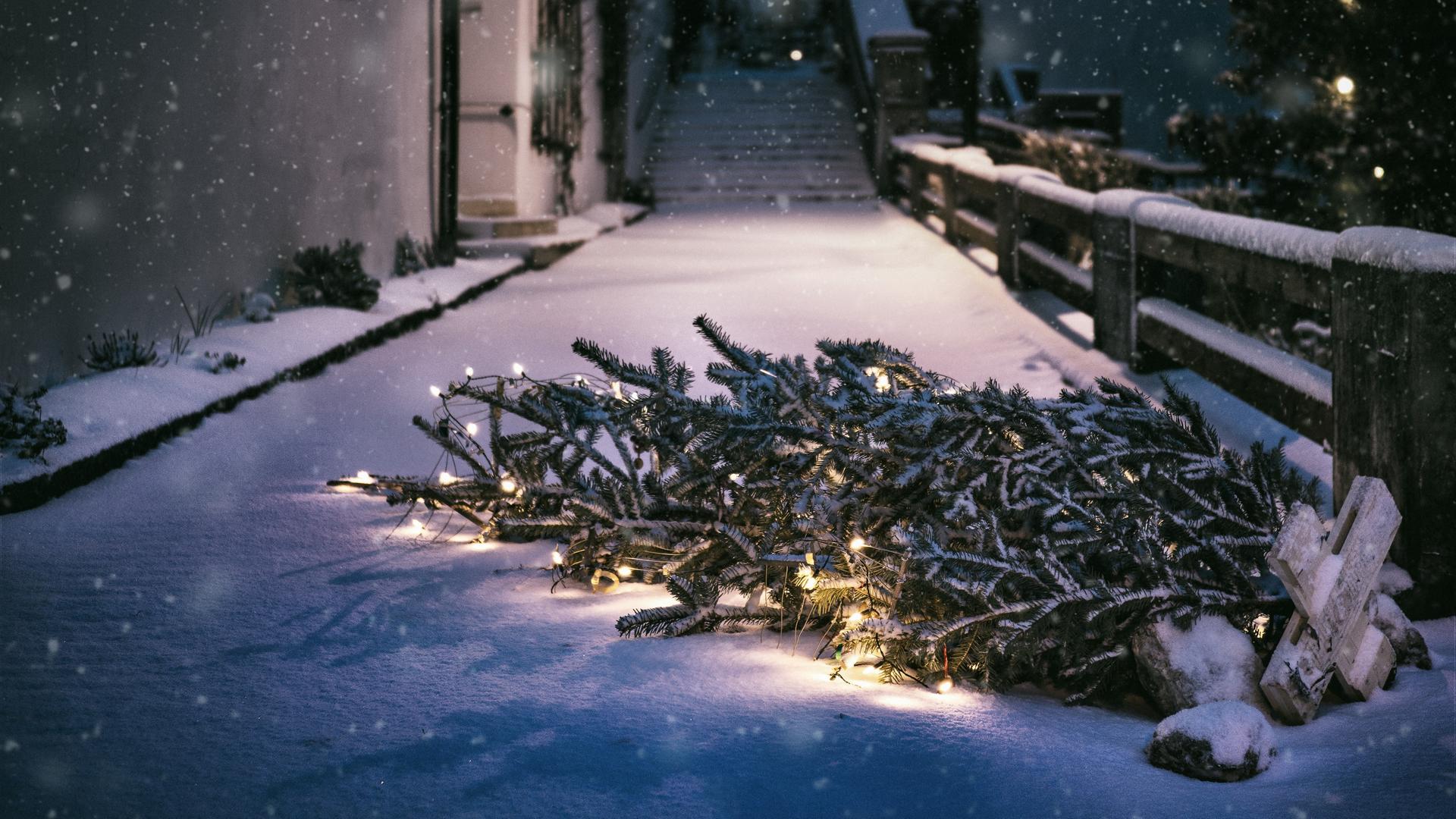 Es ist Nacht und ein Weihnachtsbaum liegt auf einem verschneiten Gehweg.