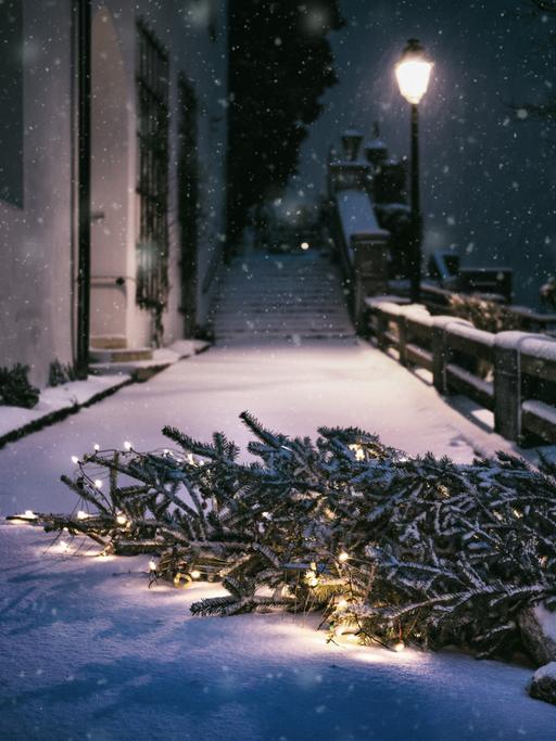 Es ist Nacht und ein Weihnachtsbaum liegt auf einem verschneiten Gehweg.