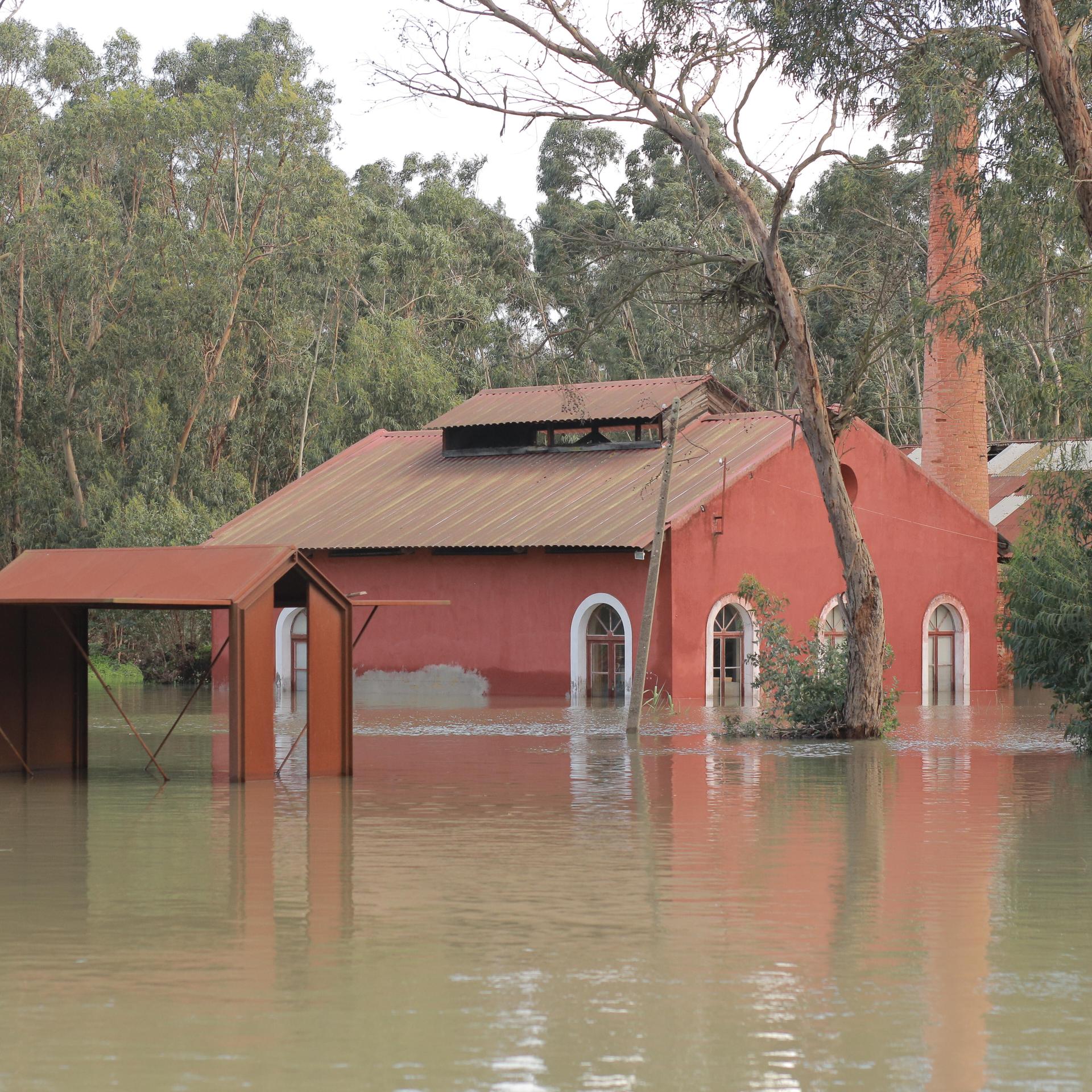 Ein rotes Gebäude steht bis hoch zu den Fenstern im schlammigen Wasser.
